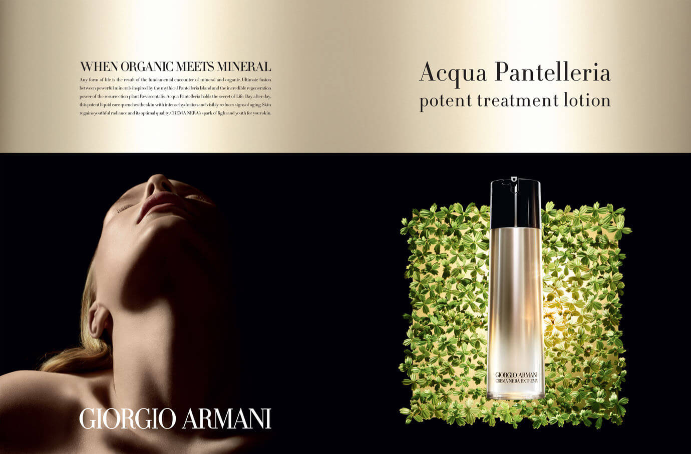 GIORGIO ARMANI Crema Nera Extrema Acqua Pantelleria Potent Treatment Lotion 30 ml.  เริ่มต้นใหม่ให้ผิวเดิมด้วยโลชั่นเนื้อน้ำบางเบาแต่ให้คุณค่าการบำรุงผิวล้ำลึก จาก GIORGIO ARMANI