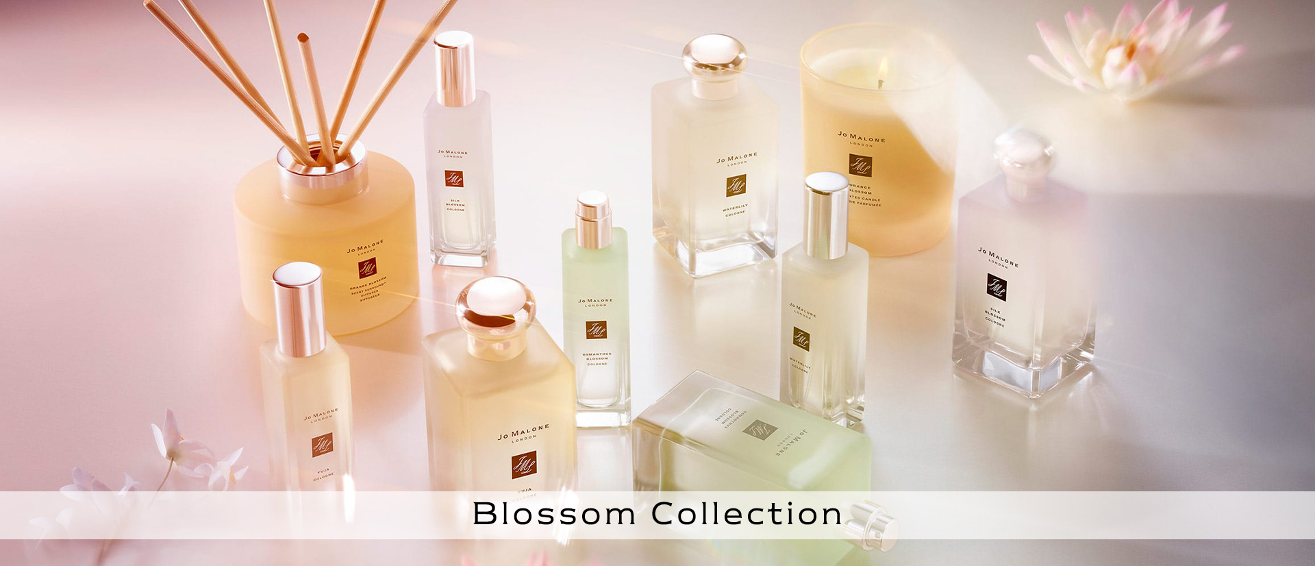 Jo Malone, Jo Malone London, โจ มาโลน ลอนดอน, Jo Malone Osmanthus Blossom Cologne, Jo Malone Osmanthus Blossom Cologne 30ml, Osmanthus Blossom, Osmanthus Blossom Cologne, Jo Malone Osmanthus Blossom Cologne 30ml, น้ำหอม Jo Malone, Blossom Collection, Limited Edition