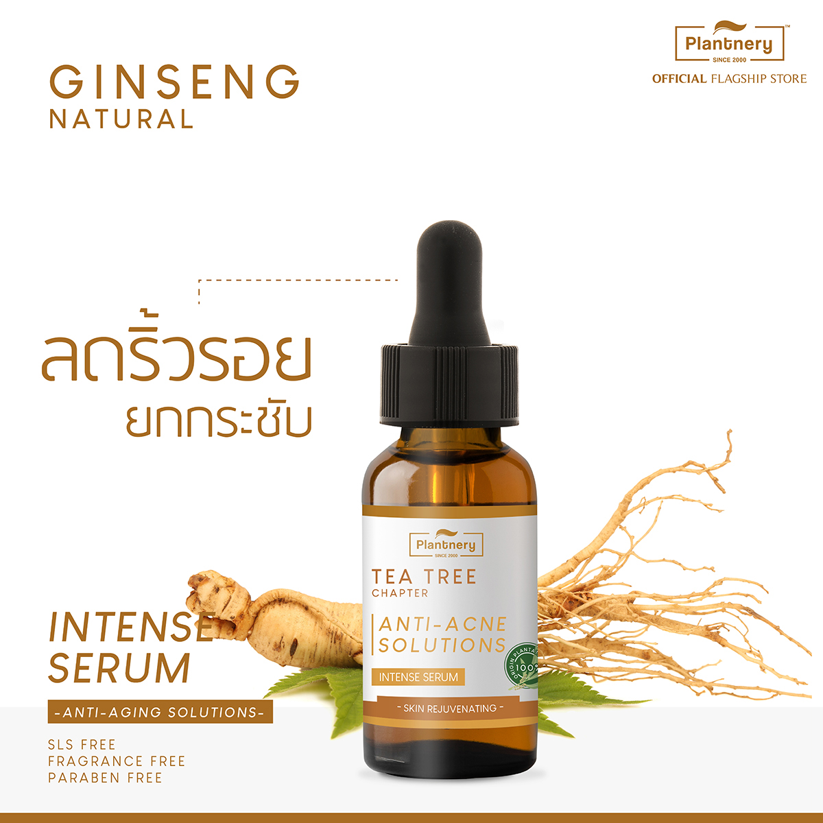 Plantnery Ginseng Facial Serum 30ml เซรั่มโสมเกาหลีเข้มข้น ลดริ้วรอยแห่งวัย เผยผิวใส เต่งตึง ยกกระชับ