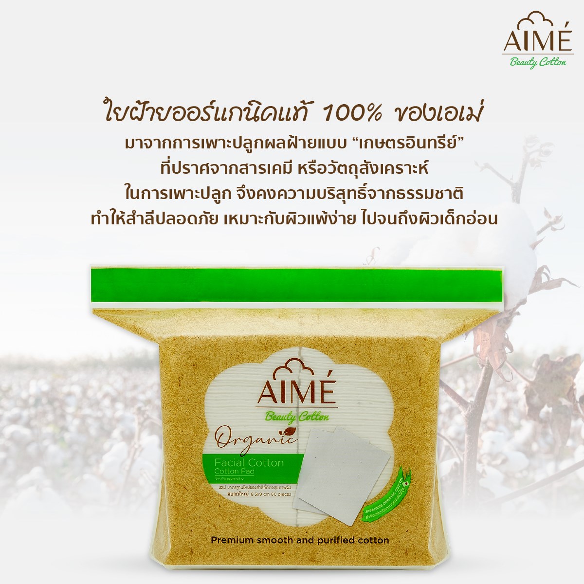 AIME',AIME' Organic Cotton 60pcs.,AIME' Organic Cotton,AIME' Organic Cotton รีวิว,AIME' Organic Cotton ราคา,สำลี,