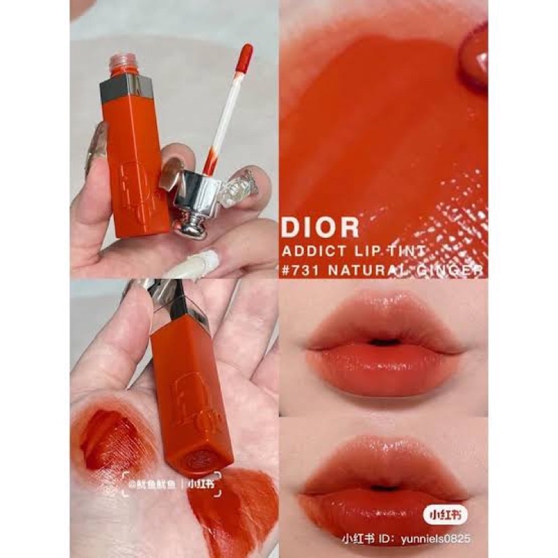 Addict Lip Tint #731 Natural Ginger 5ml (No Box) ลิปทินท์ติดทนพร้อมมอบความชุ่มชื้นยาวนาน